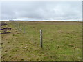 Fence across Simli Field