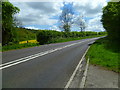 Bend on the A339 by Warren Farm