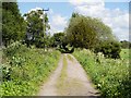 SJ7195 : Raspberry Lane, Irlam Moss by David Dixon