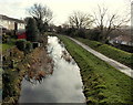 Canal SE of Groes Road bridge,  Rogerstone, Newport