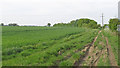 Peek Lane (track), Lavenham