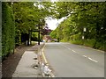 Bus Stops on Shay Lane