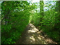 Byway descending from Wadgett