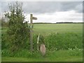 The beginning of a footpath to Everingham