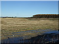 Farmland near Greystone