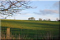 Farmland near Witnesham