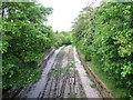 Remains of the Epping-Ongar line north of Bower Hill bridge