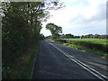 Burned House Lane (A588)