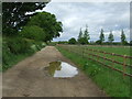 Footpath And Track