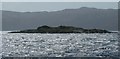 NR9169 : Eilean Buidhe in Loch Fyne by Rob Farrow