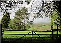 Field near Luckdon