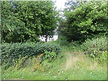 H2195 : Overgrown gateway by Richard Webb