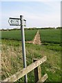 Footpath across the field