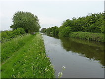 SJ8414 : Shropshire Union canal near, well, nowhere much to be honest by Richard Law
