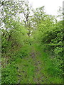 Bridleway east of Longnor Gorse Farm