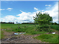 Fields and hedge by Holt End Lane