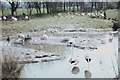 Slimbridge Wetlands Centre