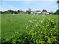 Cricket at St Nicholas at Wade