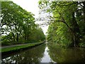 Rochdale Canal, between bridges 5 and 6