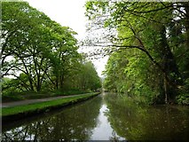 SE0324 : Rochdale Canal, between bridges 5 and 6 by Christine Johnstone