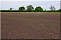 SO8955 : Wychavon : Ploughed Field by Lewis Clarke