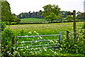 Wychavon : Grassy Field & Gate