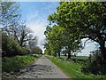 Grainsby Lane near Tetney