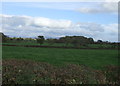 Farmland, Lodge Farm