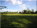 Field and football pitch behind Watford Road