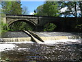 Weir and Fish Ladder, River East Allen, Allendale