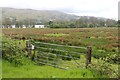 Fields at Barbreck lead down to Loch Awe