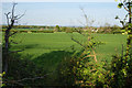 Farmland near Warren Farm