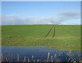 Crop field Sauchenhillock