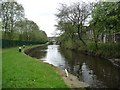 Pound between Locks 42 and 43, Rochdale Canal