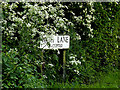 TM4288 : Wash Lane sign by Geographer