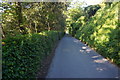 Cliff Road to South Sands, Salcombe.