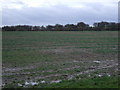 Farmland south of Kilton Lane