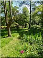 TQ2997 : Japanese Garden, Trent Park, Cockfosters, Hertfordshire by Christine Matthews