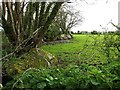 Large stone slabs used as field boundary, near Higher Gready Farm