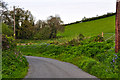 North Devon : Owlaborough Lane