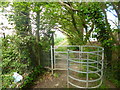 Eastergate, kissing gate