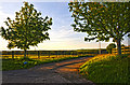 North Devon : Farm Track