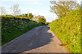 North Devon : Country Lane