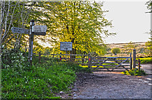SS8528 : North Devon : Badlake Moor Cross by Lewis Clarke