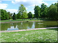 Pond in Rosebery Park