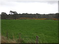 Farmland and woodland near Clashnagrave