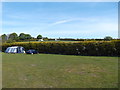 Early Summer (or late Spring), Tyddyn Isaf Caravan Park