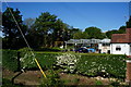 Greenhouses on Springwell Lane