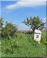 Old milepost beside the A171