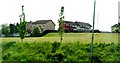 Houses at Parkhead Crescent, Newry